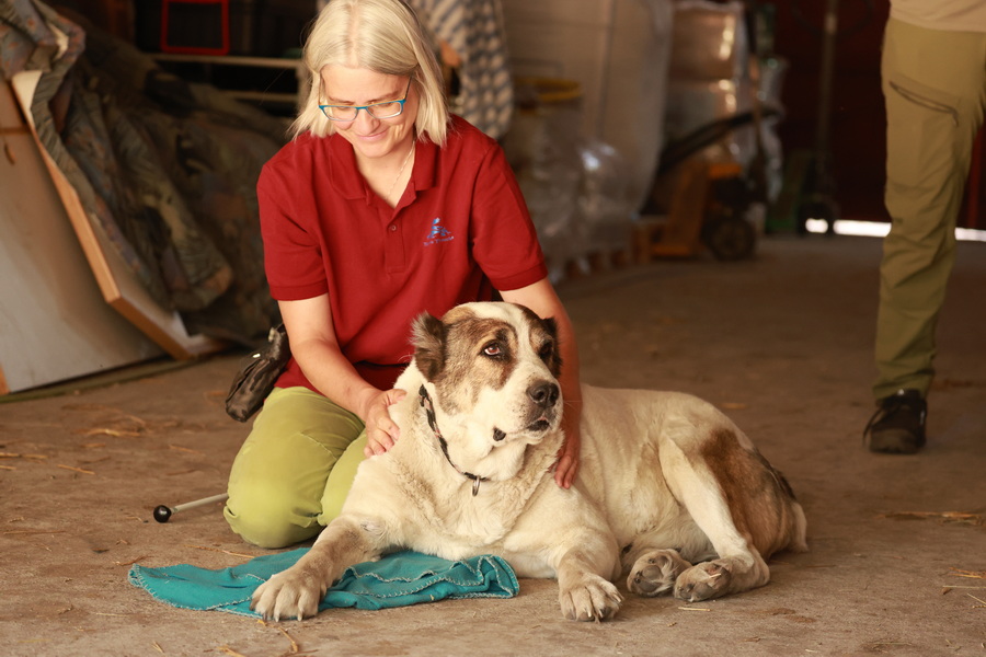 Dr. Daniela Zurr kneeling beside Mira, a large shelter dog
